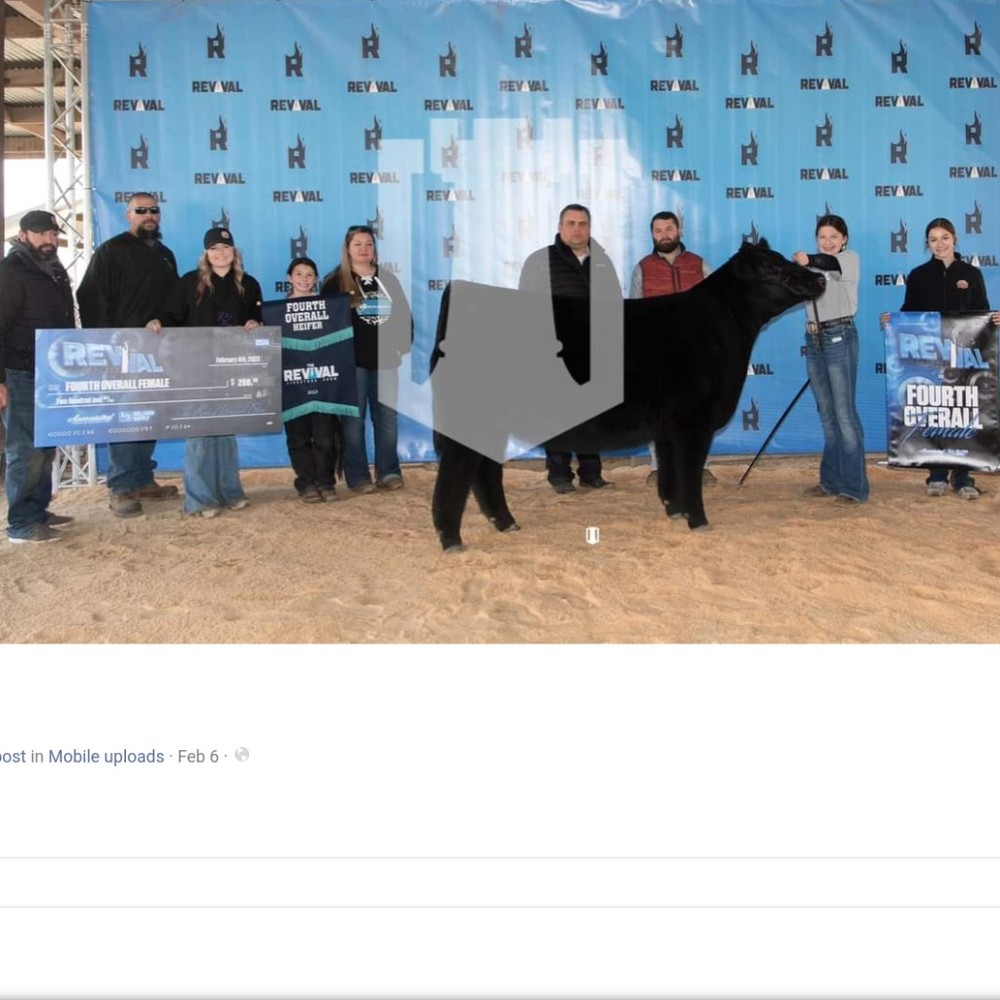 Meet your Posher, Blythe